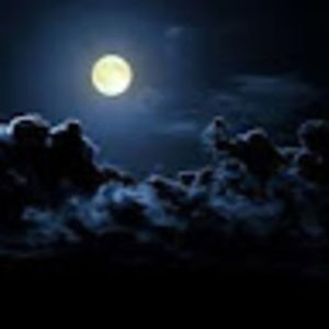 Meet your Posher, Kylie